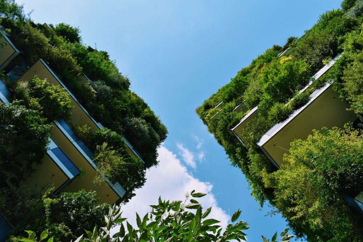 Wisata IKN konsep green forest city Ibu Kota Nusantara