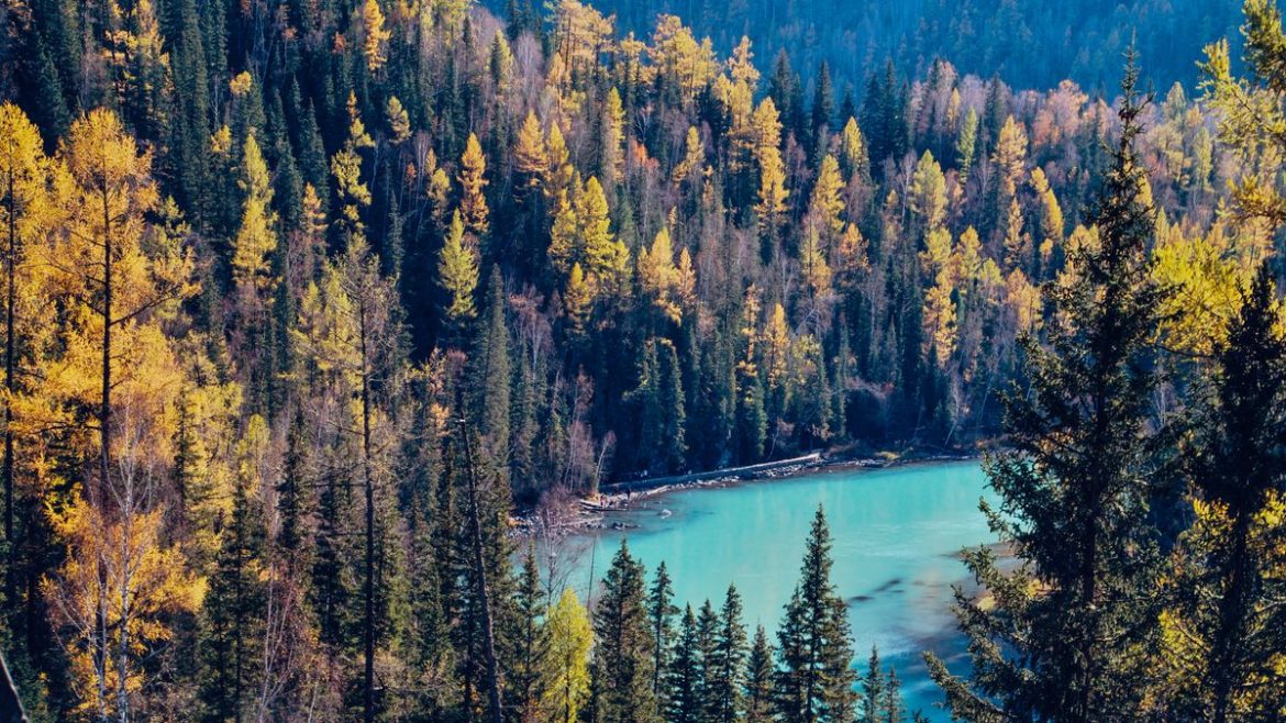 Pemandangan Danau Kaco Kerinci dengan air biru jernih di tengah hutan Jambi