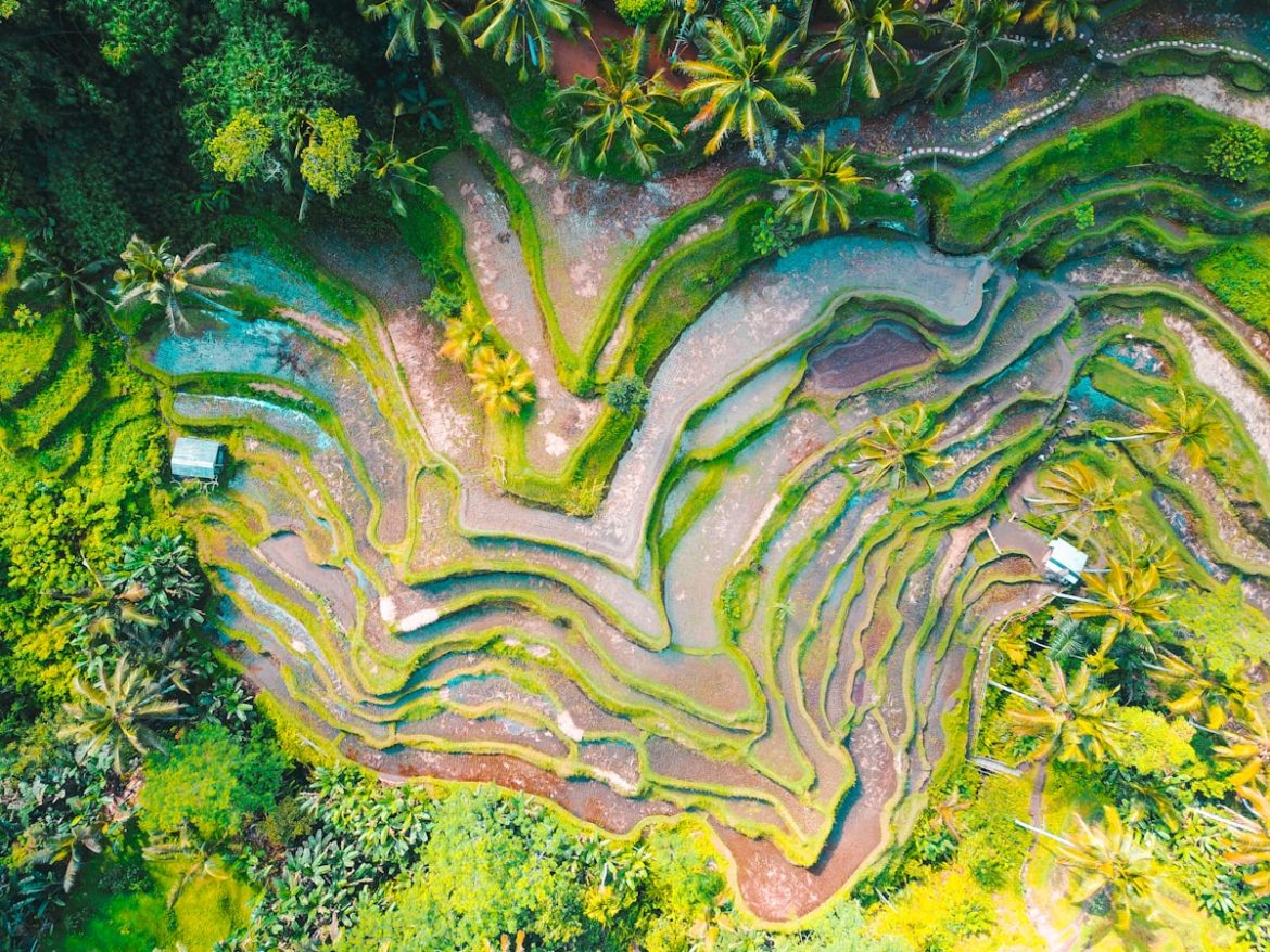 Pemandangan terasering hijau khas wisata alam Majalengka
