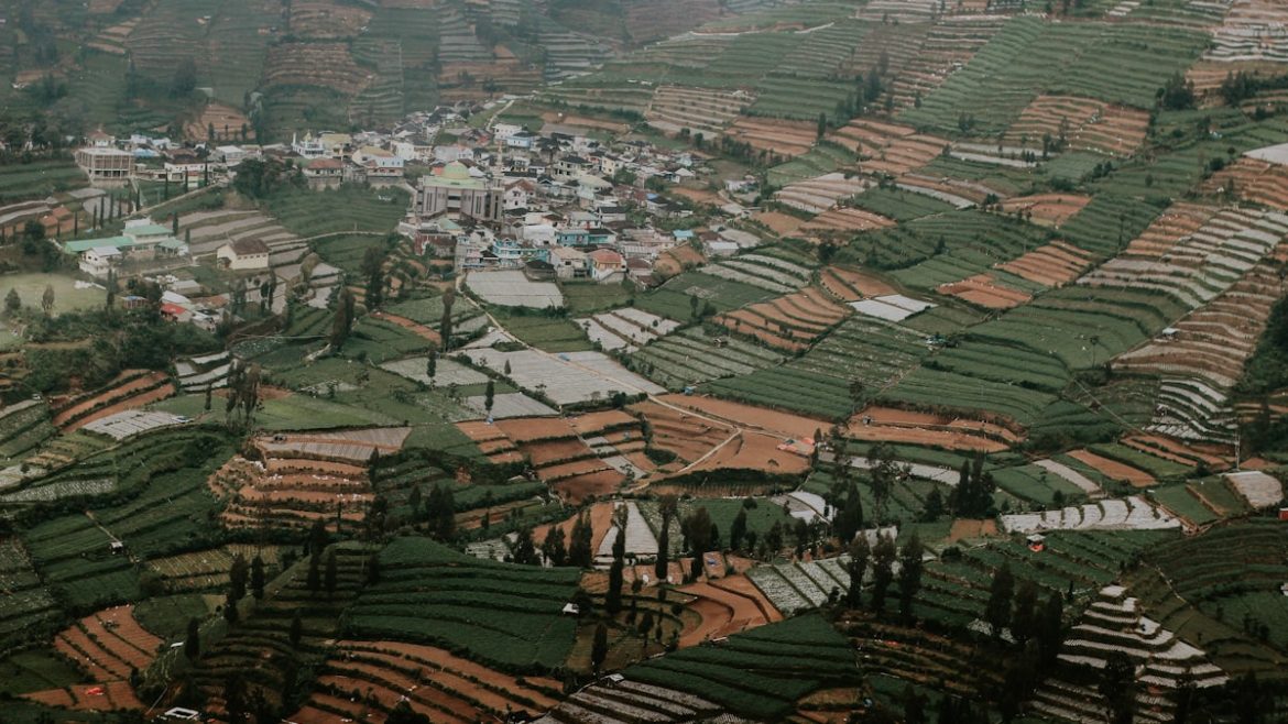 panorama negeri di atas awan saat wisata Dieng